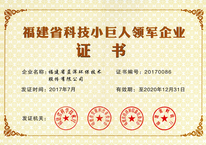 Fujian Science and Technology Giant Giant Leading Enterprise Certificate